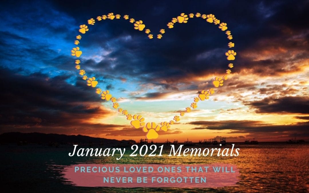 January 2021 Memorials