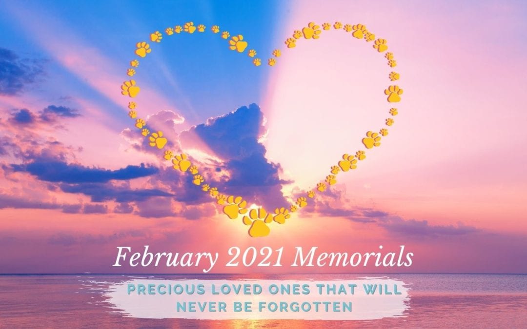 February 2021 Memorials