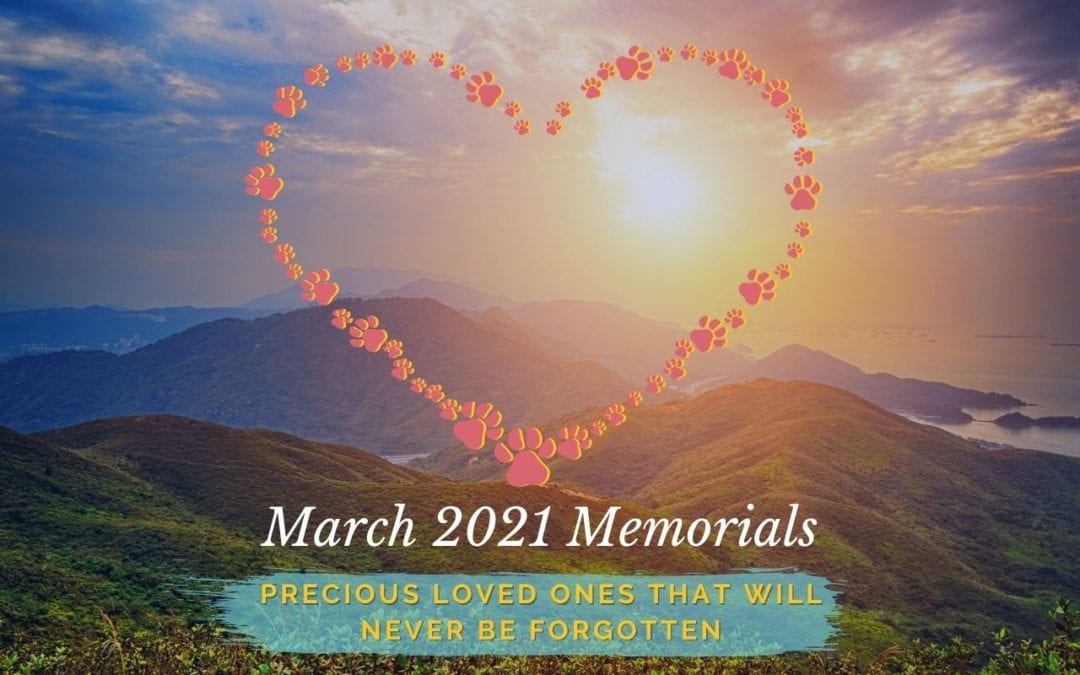 March 2021 Memorials