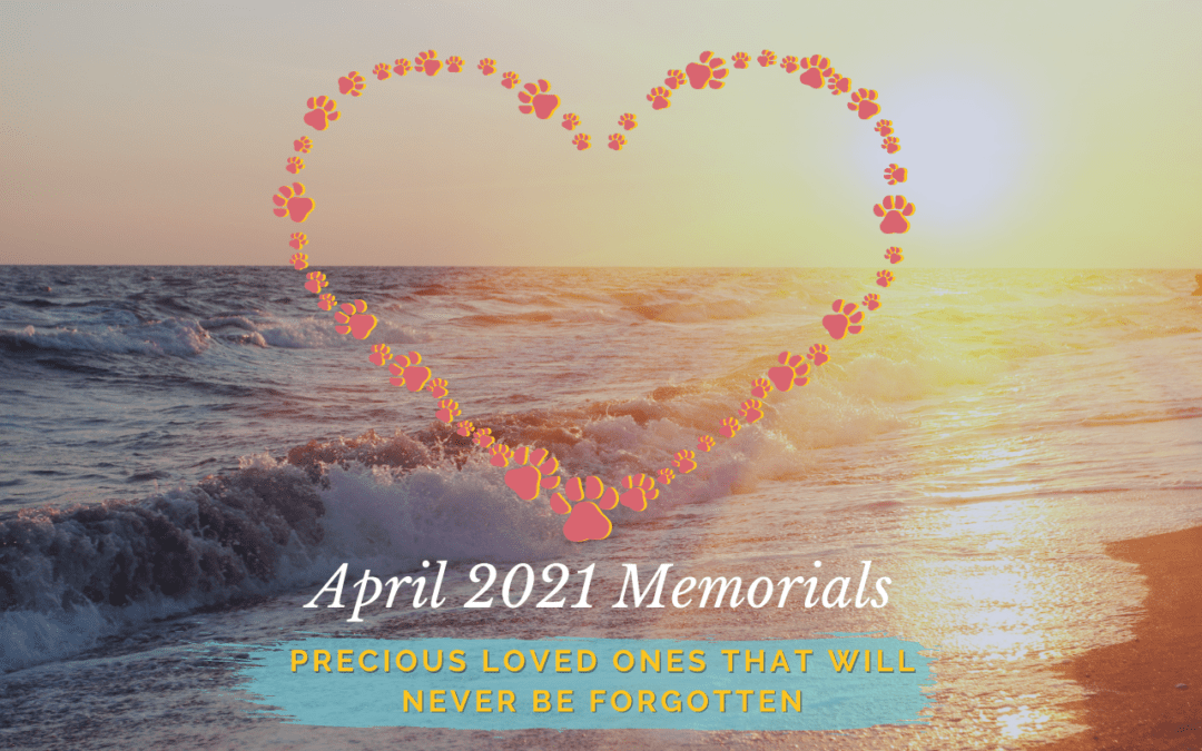 April 2021 Memorials