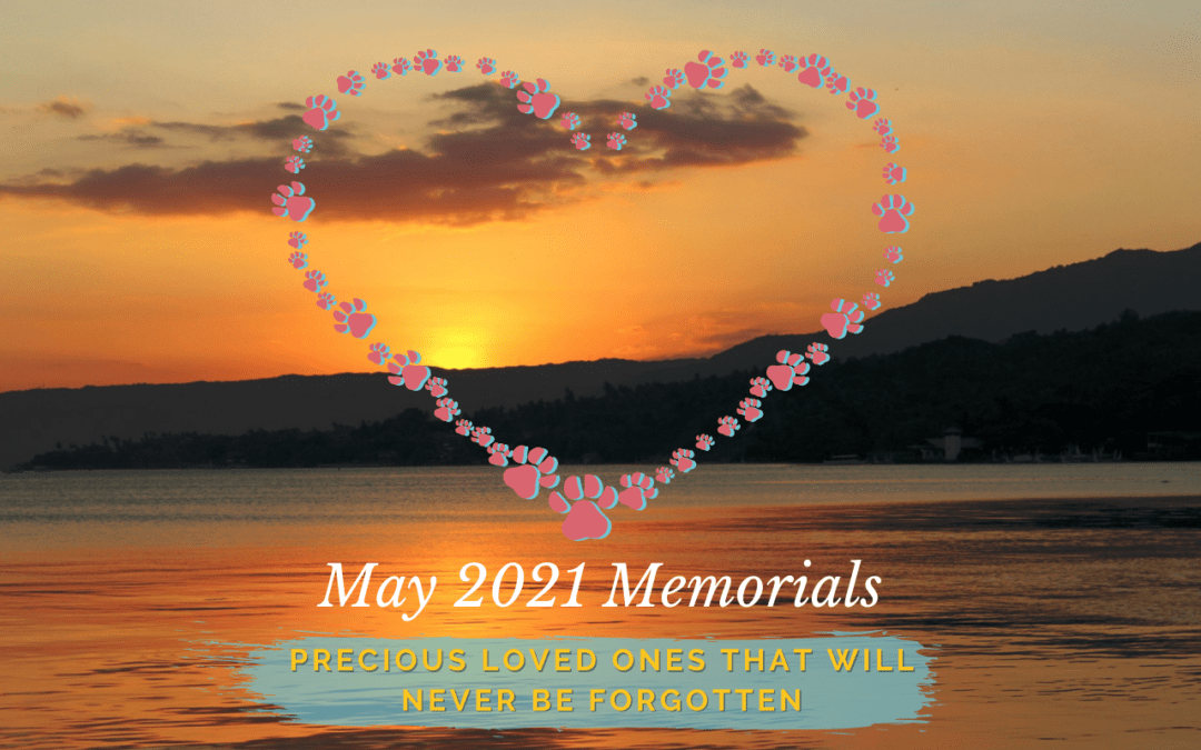 May 2021 Memorials