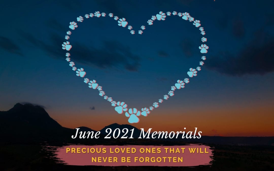 June 2021 Memorials