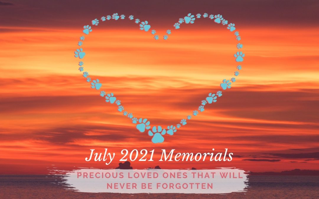 July 2021 Memorials