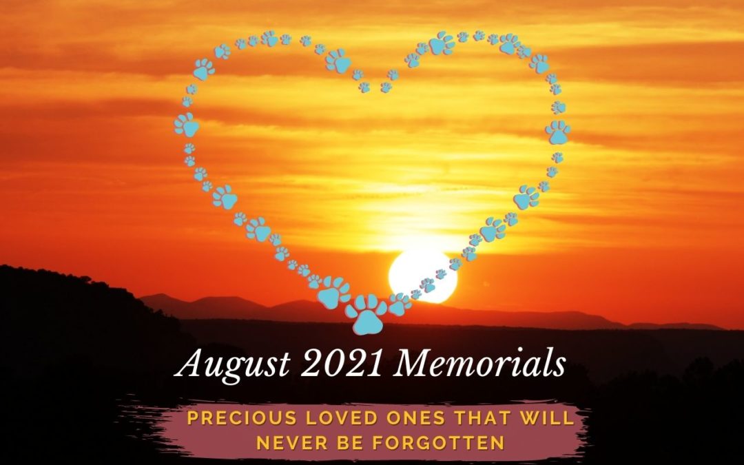 August 2021 Memorials