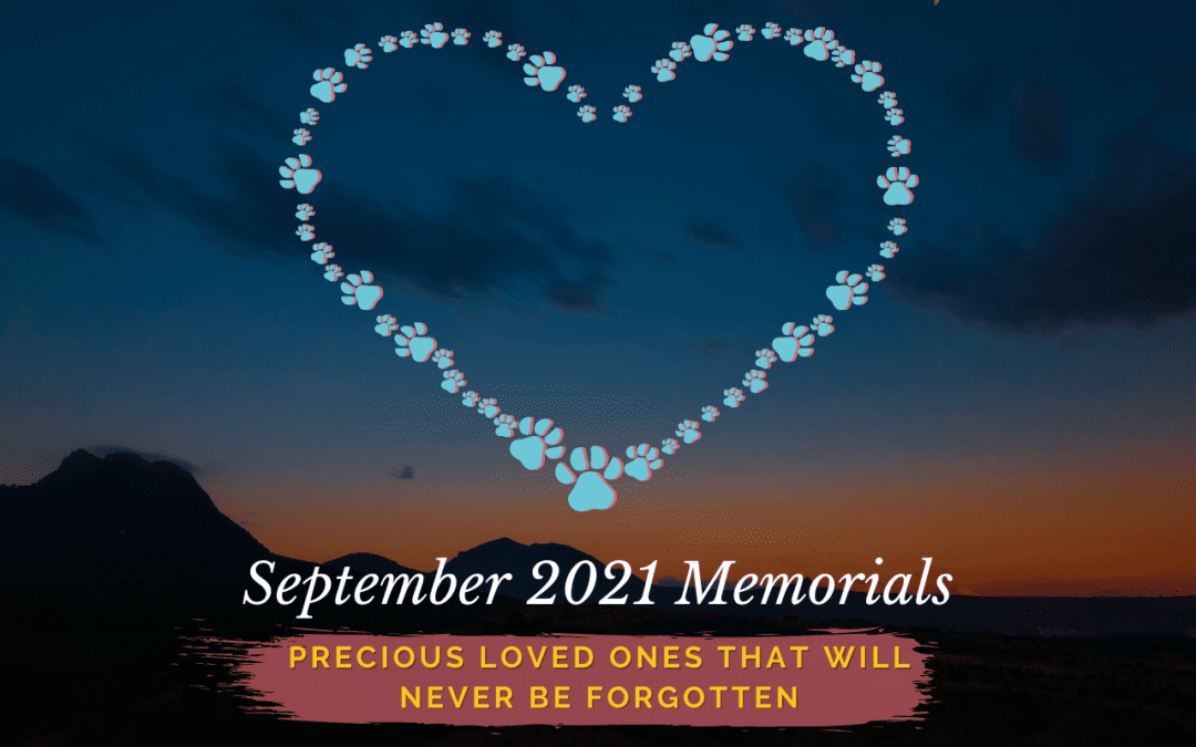 September 2021 Memorials