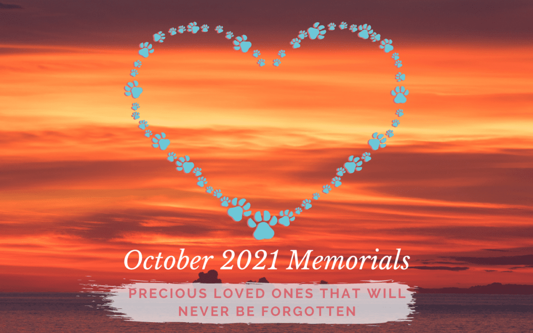 October 2021 Memorials
