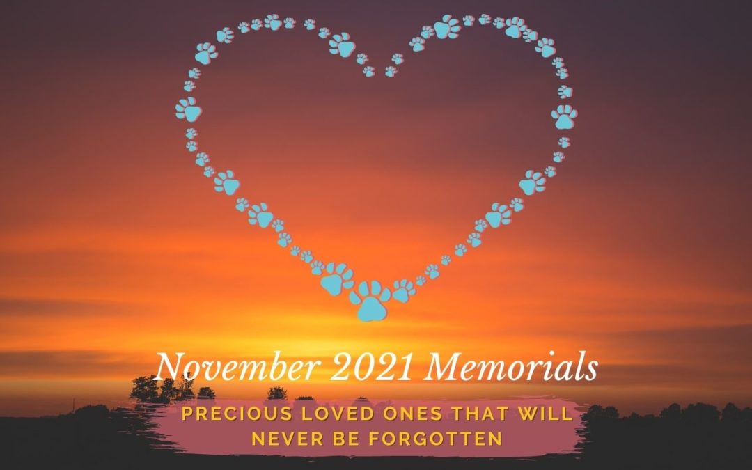 November 2021 Memorials