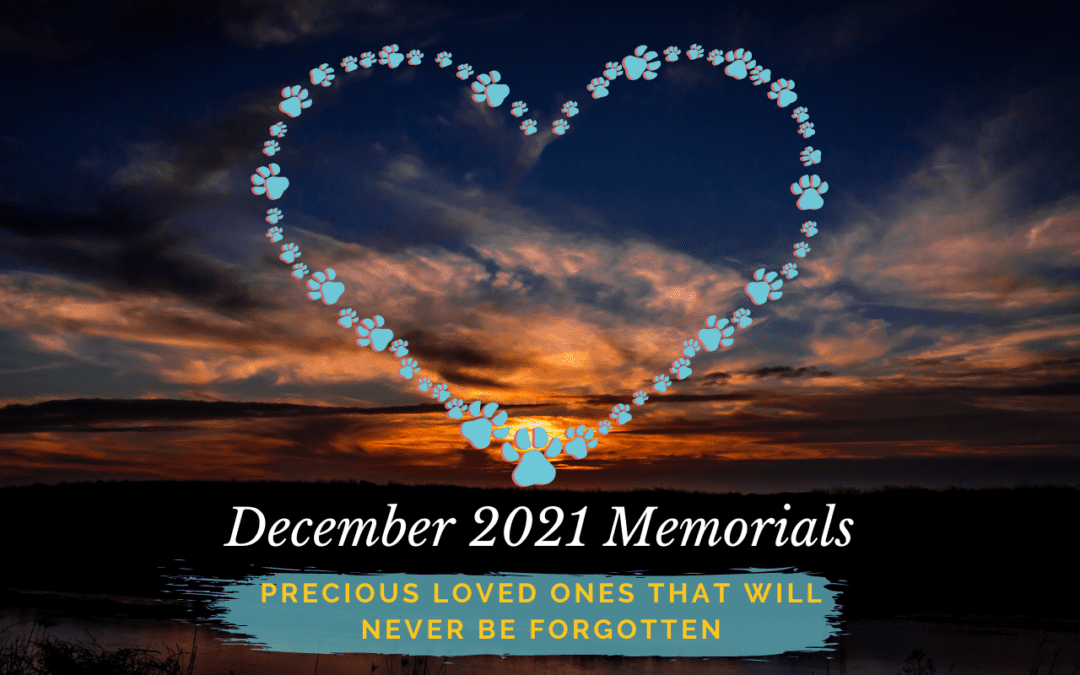 December 2021 Memorials
