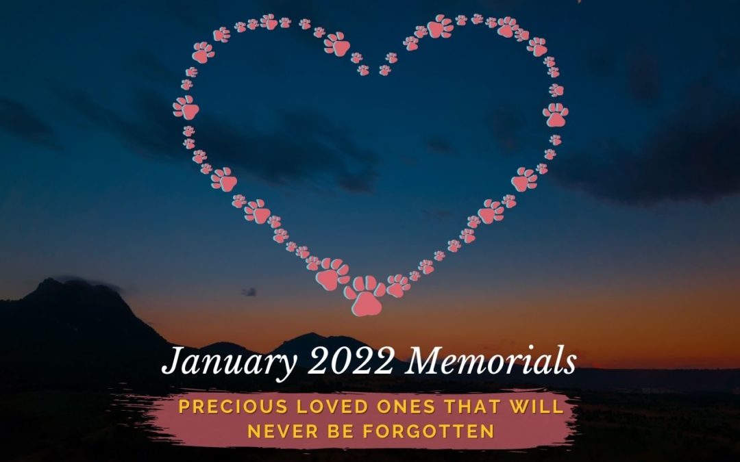 January 2022 Memorials