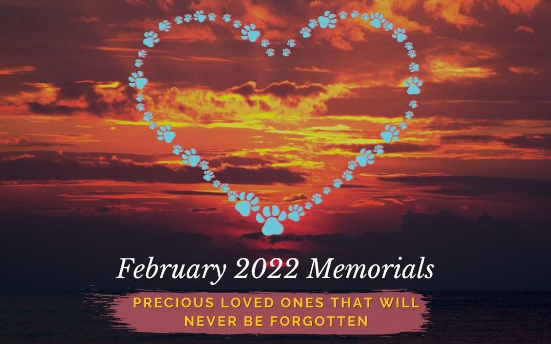 February 2022 Memorials
