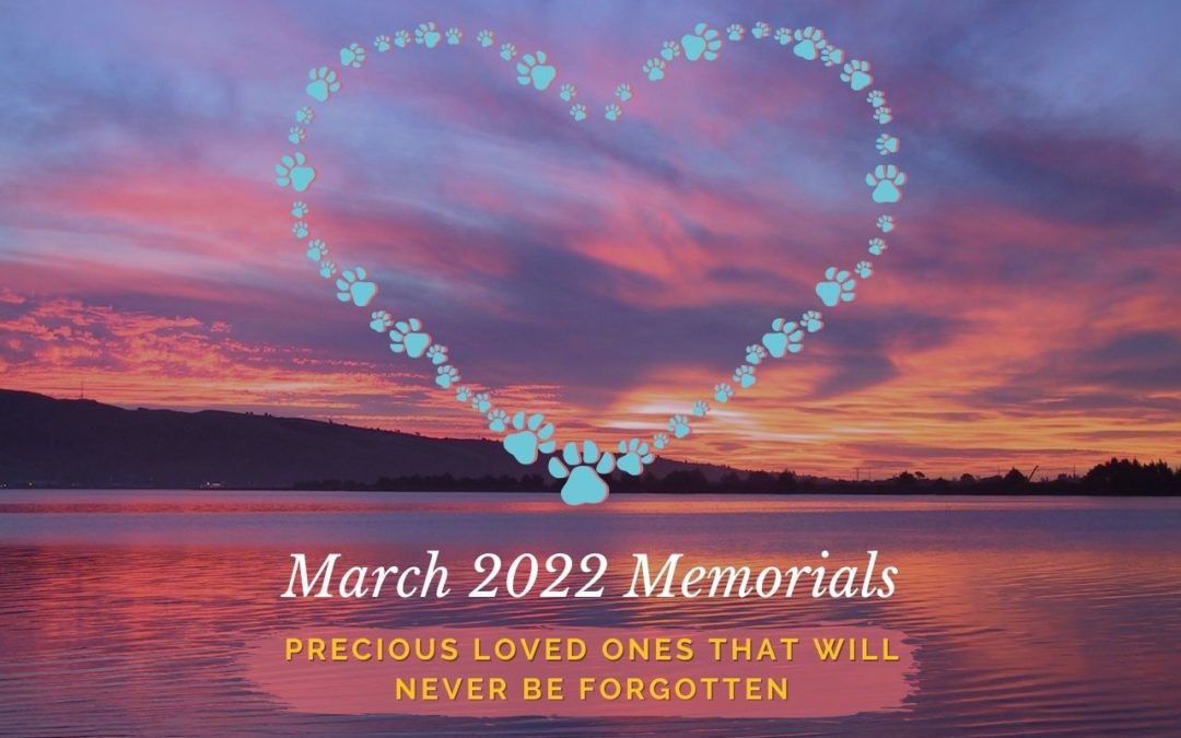 March 2022 Memorials