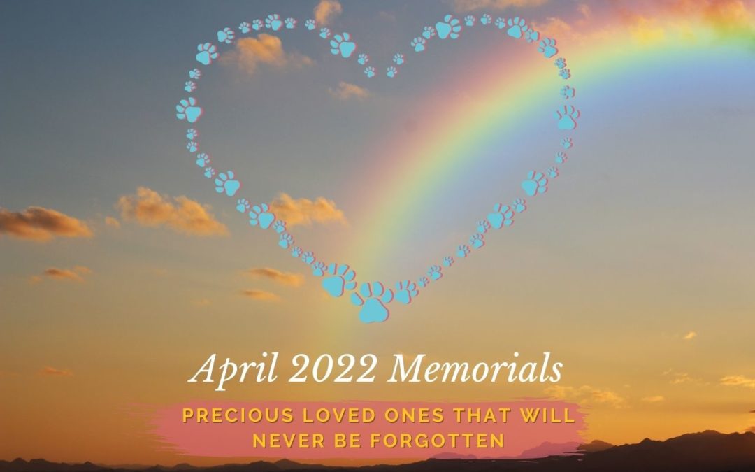 April 2022 Memorials