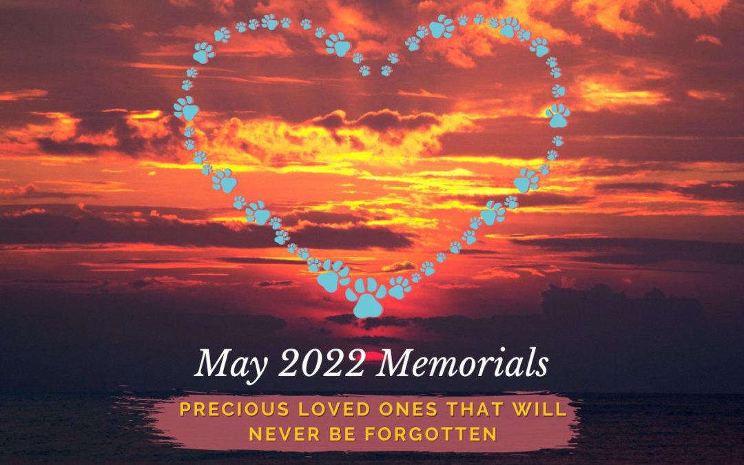 May 2022 Memorials