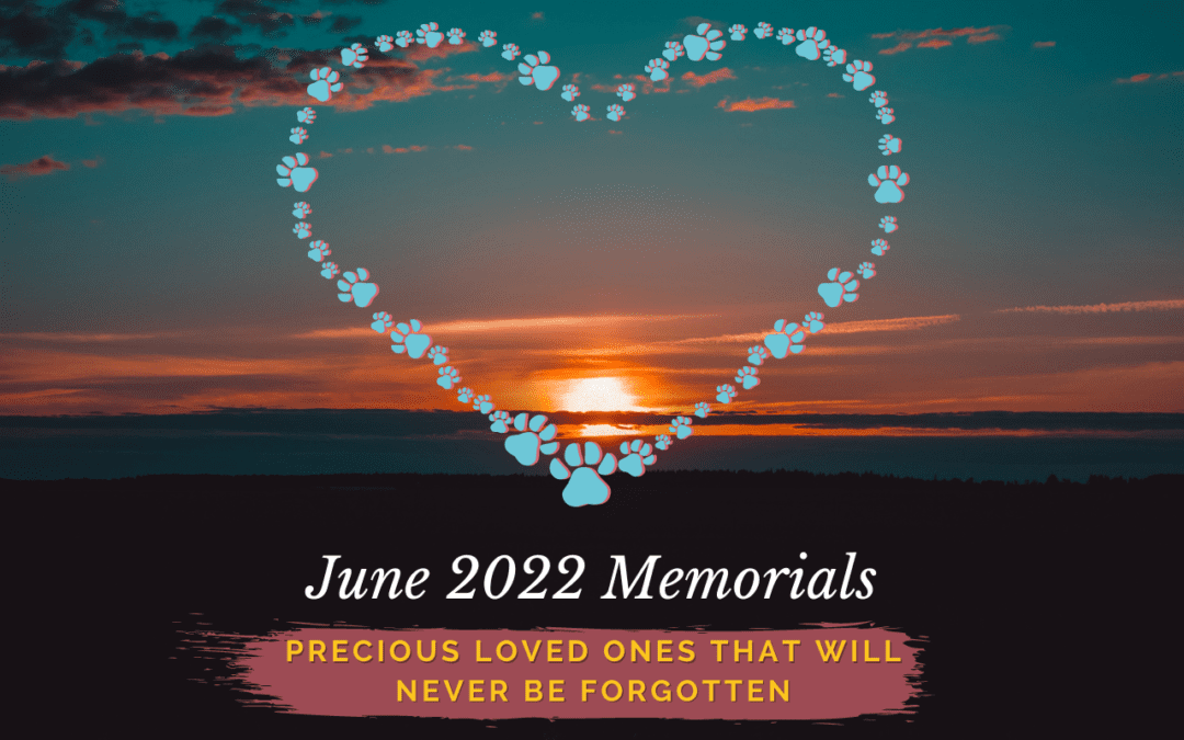 June 2022 Memorials