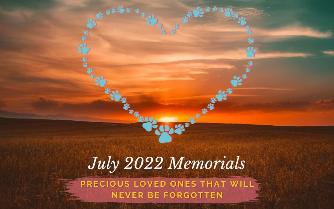July 2022 Memorials