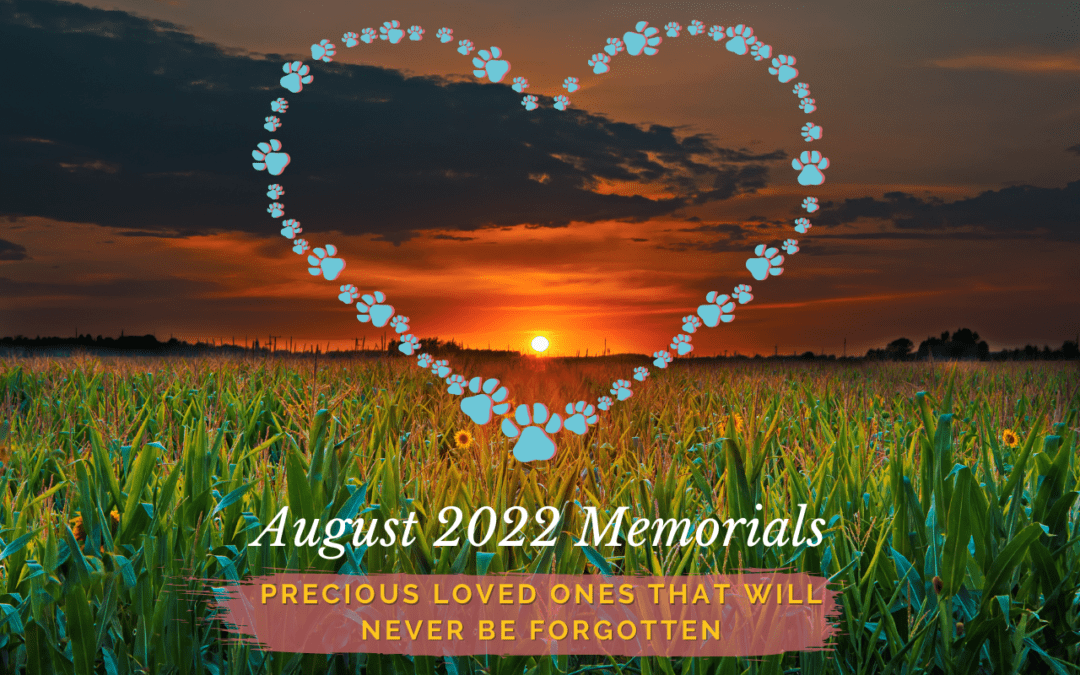 August 2022 Memorials