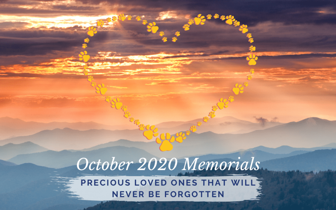 October 2022 Memorials