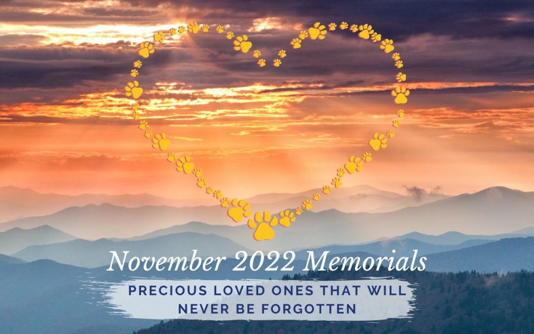 November 2022 Memorials
