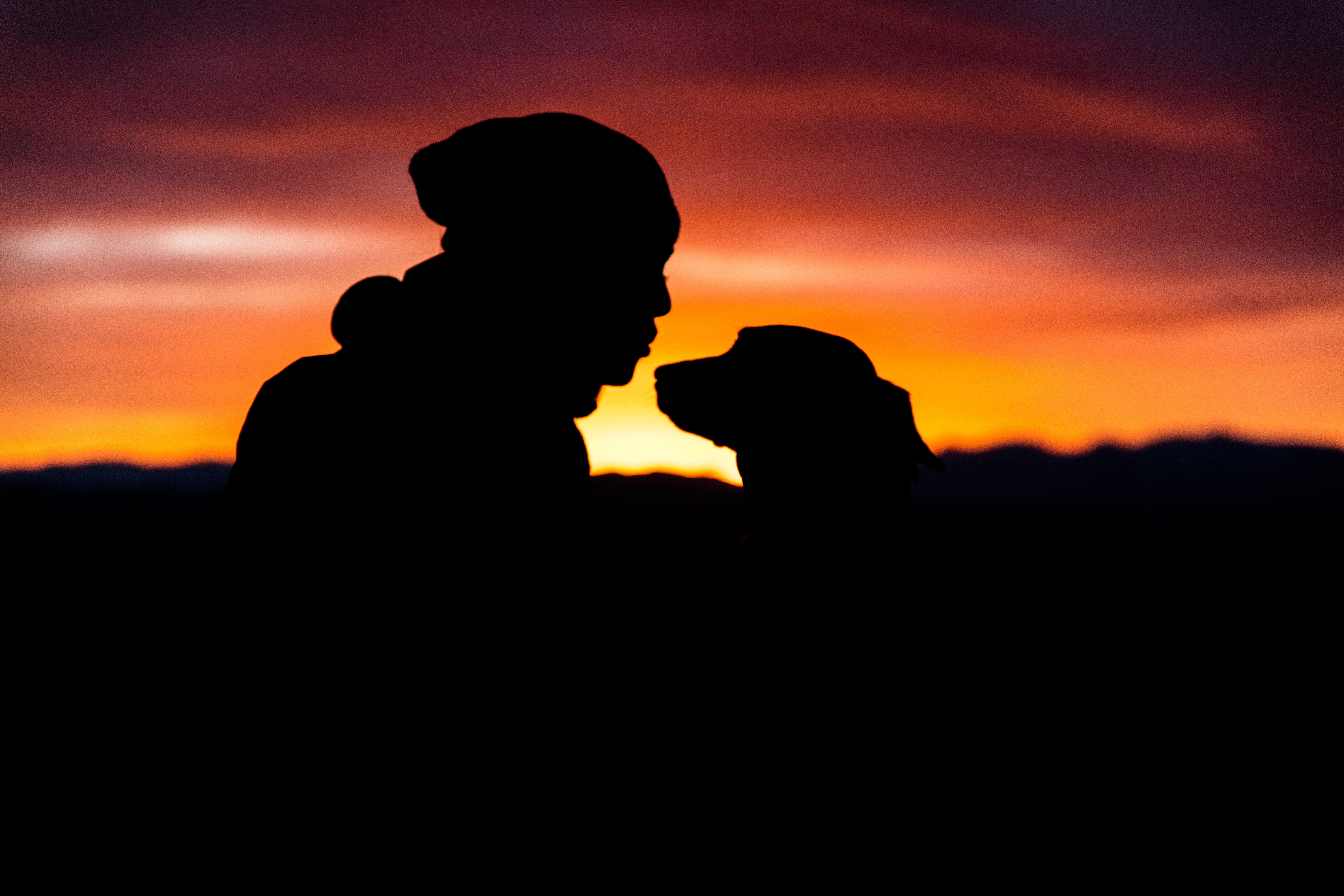 Silhouette of owner kissing pet