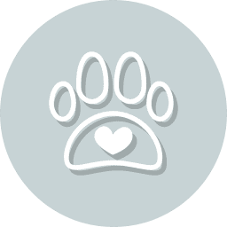 Western Skies Veterinary - In Home Pet Euthanasia|Contact Us