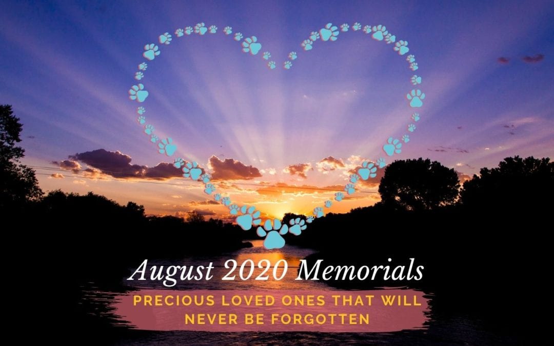 Western Skies Veterinary - In Home Pet Euthanasia | Memorials Archive