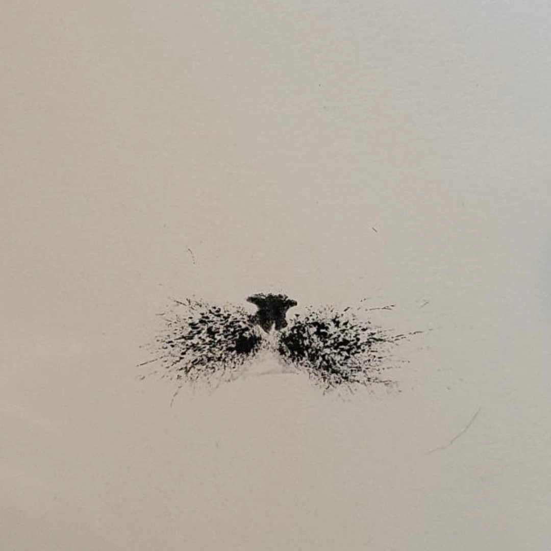 <b>Ink Nose Print <br>$35</b>