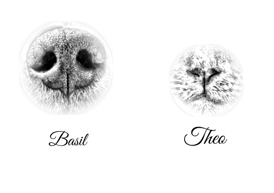 <b>Lifeprint Digital Nose Print <br>$20</b>