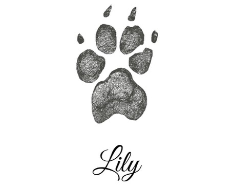 <b><strong>New</strong> Digital Paw Print <br>$30</b>