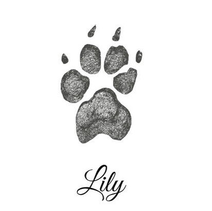 Western Skies Veterinary - In Home Pet Euthanasia | Preserve Their Memory With Digital Paw And Nose Prints